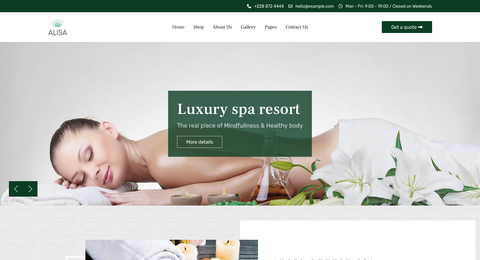 Alisa PRO Unlimited Joomla Template