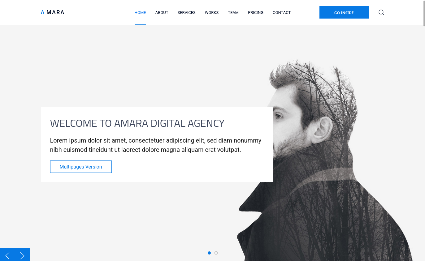 Amara Joomla! Pro Unlimited Edition