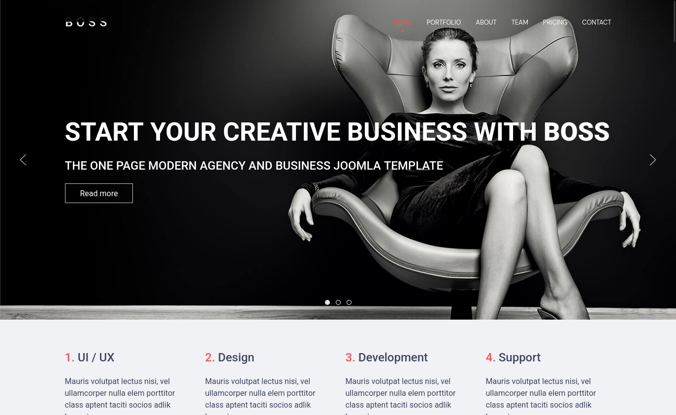 Boss PRO Unlimited Template Edition