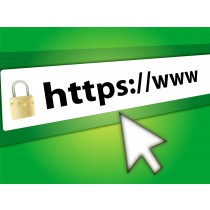 SSL Wildcard certificaat met standaardvalidatie